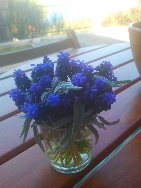 Apartment Sanja Primošten Екстериор снимка