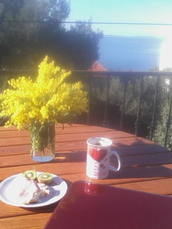 Apartment Sanja Primošten Екстериор снимка